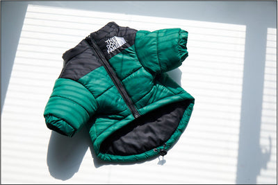 Abrigo Impermeable y Cortavientos para Perros - Ropa de Invierno Acolchada - Image 6