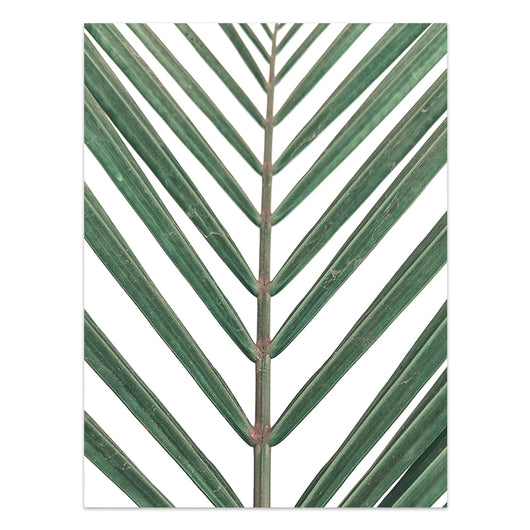 Póster de Plantas Tropicales Estilo Nórdico - Lámina de Hojas Verdes - Image 6