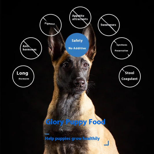Alimento Militar para Perros de Entrenamiento - Fortalecedor Óseo y Muscular - Image 2