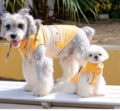 Ropa para Perros Pequeños - Abrigos y Suéteres para Bichón, Yorkshire y Schnauzer - Image 10