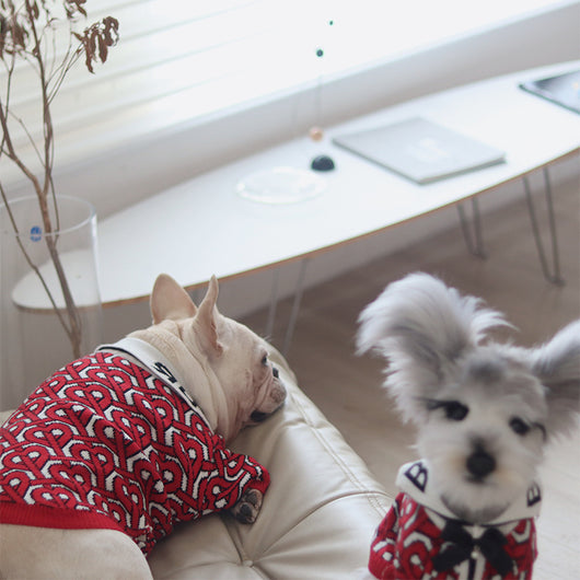 Suéter Abrigador para Perros - Ropa Cálida y Cómoda - Image 17