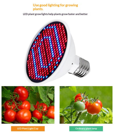 Luz de Crecimiento LED Espectro Rojo-Azul 126/200/300 Diodos para Plantas - Image 18