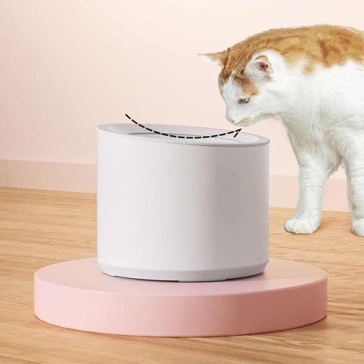 Dispensador de Agua Inteligente para Mascotas con Lámpara UV y Filtración Automática