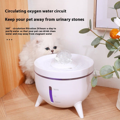 Bebedero Automático para Mascotas con Filtro Circulante de Cristal - Image 2