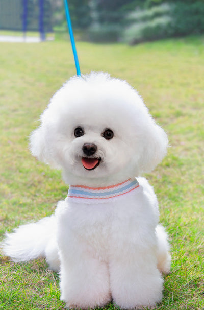 Arnés Respirador para Perros Pequeños y Medianos - Chaleco Cómodo para Paseos de Verano - Image 18