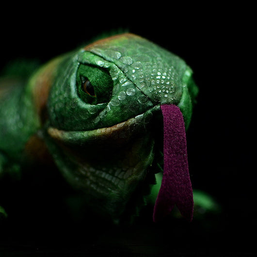 Peluche Iguana Verde Realista - Juguete Suave y Adorable - Image 8