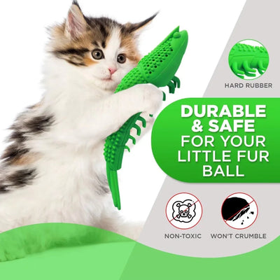 Juguete Interactivo de Catnip con Limpieza Dental 360° para Gatos - Image 13
