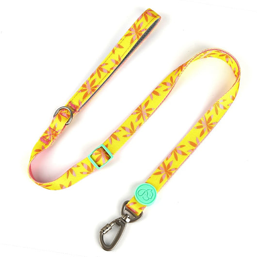 Arnés Pechera Antiescapes para Perros con Correa de Tracción Segura - Image 10