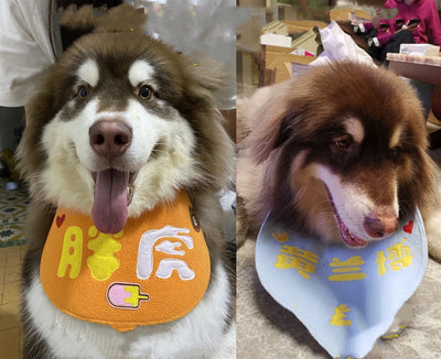 Toalla Absorbente Personalizada para Perros Medianos y Grandes - Image 9