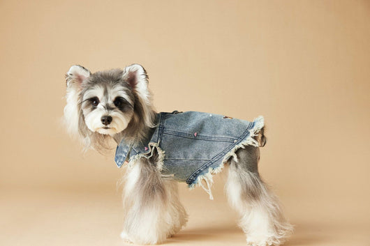 Chaleco Denim sin Mangas con Bordado Schnauzer Maltés Teddy - Image 10