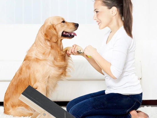 Rascador de Madera Ajustable para Gatos con Extractor de Uñas - Image 2