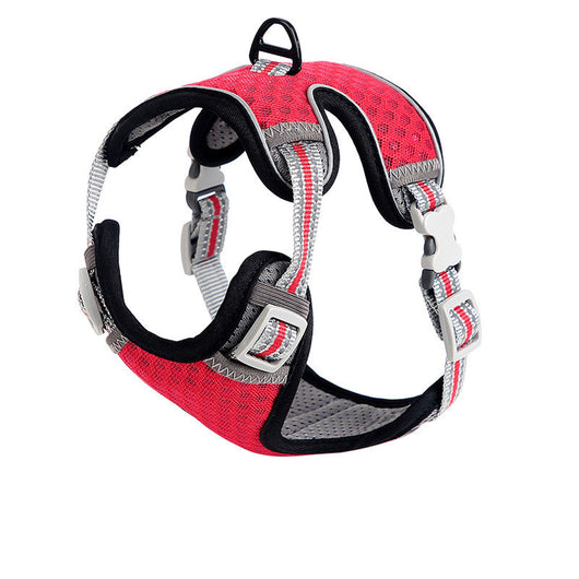 Arnés de Paseo para Gatos - Correa Pectoral Ajustable - Image 11