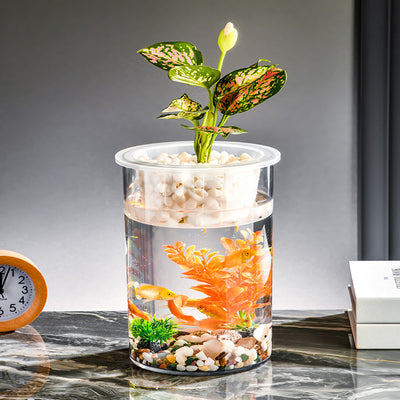 Maceta Ecológica de Escritorio con Paisaje Miniatura y Pecera Transparente - Image 4