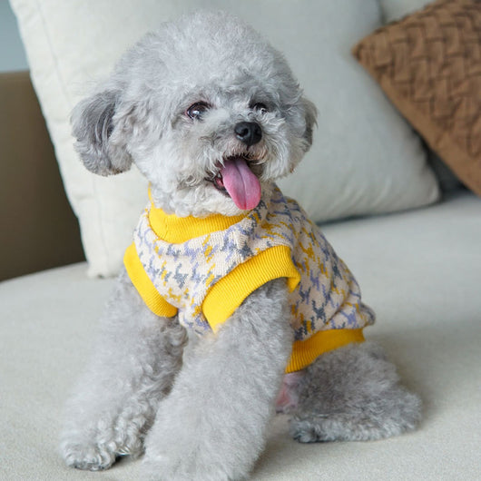 Chaleco para Perros Otoño Invierno Cuello en V Estilo Japonés y Coreano - Image 5