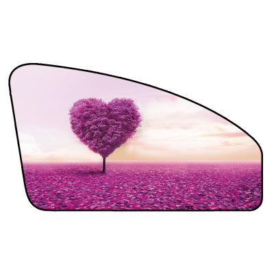 Cortinas Laterales Magnéticas para Vidrios de Auto - Protección Solar Verano - Image 5
