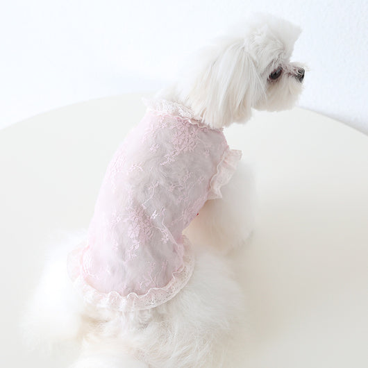 Chaleco de Encaje Antiestático para Mascotas - Ropa Elegante para Perros y Gatos - Image 22