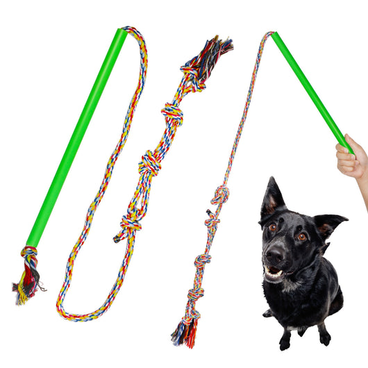 Poste de Adiestramiento Canino Profesional