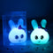 Morado Bigeared Rabbit