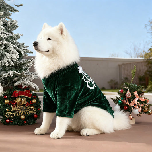 Ropa Navideña para Mascotas - Abrigos y Suéteres para Otoño e Invierno - Image 13