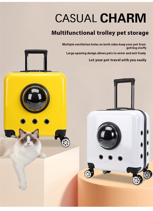 Mochila Transportín Cápsula Espacial para Gatos - Image 26