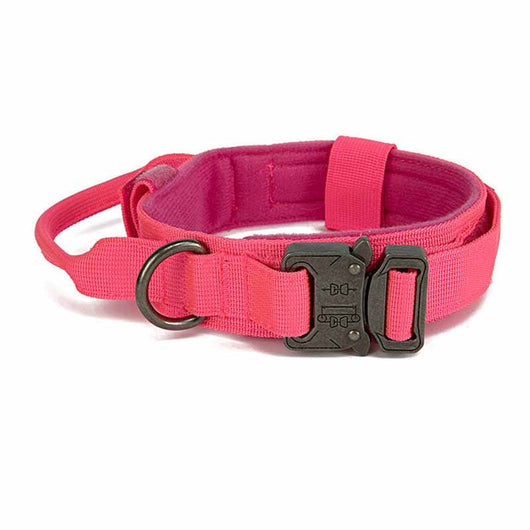 Collar de Tracción para Mascotas de Color Sólido - Image 9
