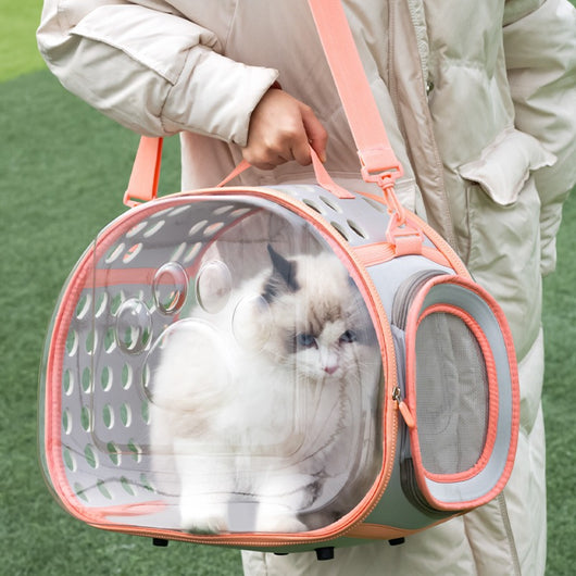 Mochila Transportadora Transparente Tipo Cápsula Espacial para Mascotas - Image 13