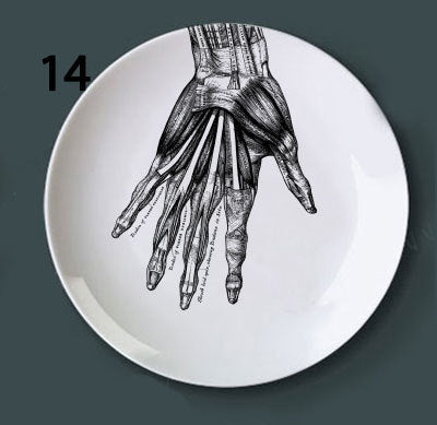 Placa Decorativa de Anatomía Ósea - Image 17