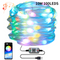 Picture Color 100LEDS