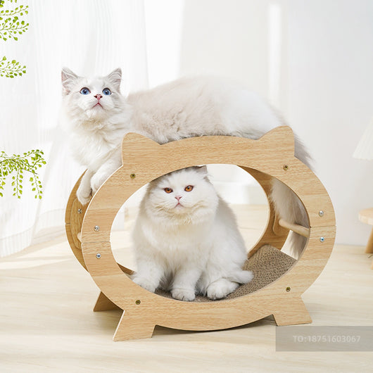 Rascador para Gatos Resistente sin Polvo - Alivio y Bienestar Felino - Image 5