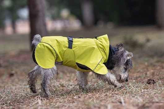 Poncho Impermeable Universal para Perros Pequeños y Medianos - Image 20