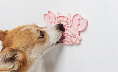 Plato Inteligente Anti-Asfixia para Mascotas - Alimentación Lenta y Segura - Image 15