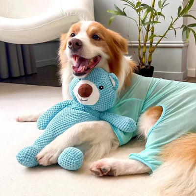 Juguete Masticable para Perros Grandes - Peluche Sonoro con Forma de Oso para Entrenamiento Dental - Image 10