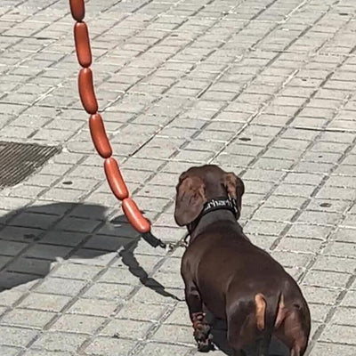 Juguete de Cuerda para Perro con Salchichas Grandes - Image 2