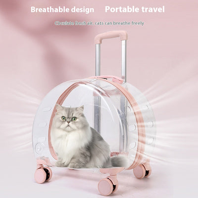 Mochila Transportadora Transparente para Gatos y Mascotas Pequeñas - Image 4