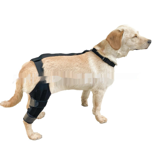 Refuerzo de Rodilla para Perros - Soporte para Patas Traseras - Image 18