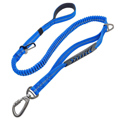 Correa Retráctil para Perro con Diseño Personalizado - Image 3