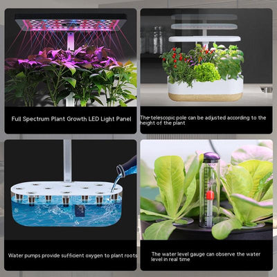 Huerto Inteligente Hidropónico para Cultivo en Interior - Image 9