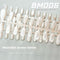 BM 006 Whole XS S M