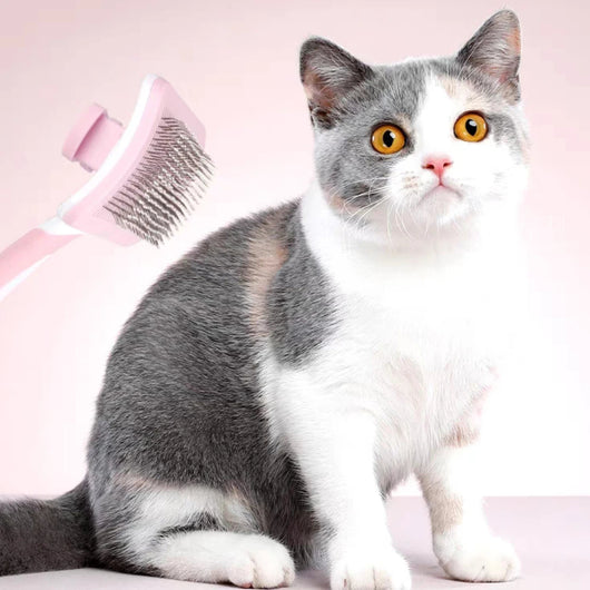 Cepillo Deslanador Automático para Perros y Gatos - Limpieza con Un Clic - Image 4