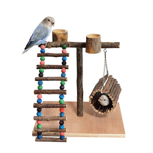 Solid wood parrot play stand with multiple perches, a colorful beaded ladder, a feeding cup, and a hanging vine toy. - Image 6