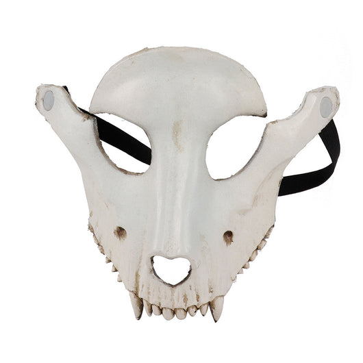 Calavera de Hueso de Oveja para Decoración - Image 4
