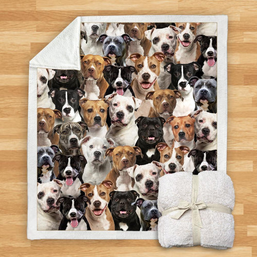 Manta de Franela Estampada para Perros de Diseño Moderno - Image 81