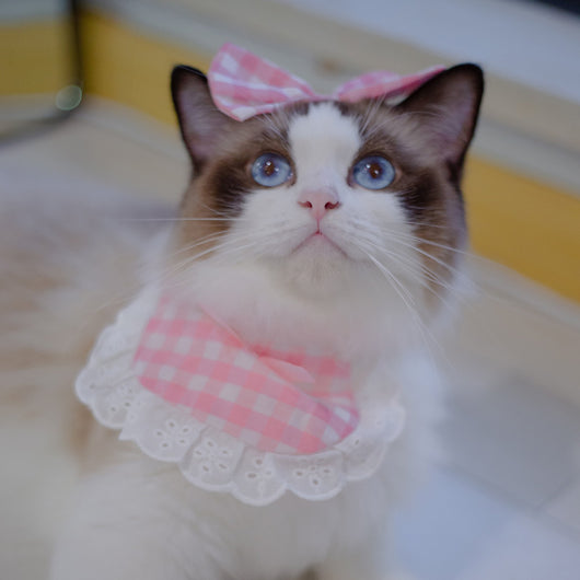 Babero Pañoleta Encaje Gato Estilo Princesa con Decoración - Image 48