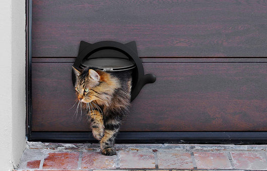 Puerta Inteligente para Gatos con Control Automático - Image 14