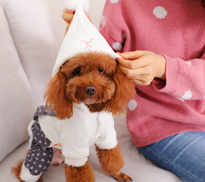 Abrigo Térmico para Cachorros Pequeños - Ropa de Invierno y Otoño - Image 8