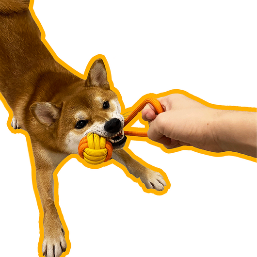 Juguete Interactivo con Nudo para Perros Adultos y Medianos - Image 23