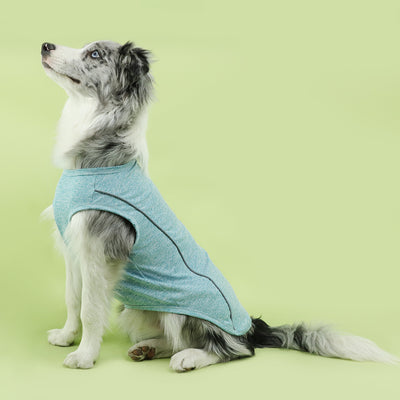 Ropa Reflectante para Perros Pequeños - Chaleco Luminoso Teddy, Pomerania y Pug - Image 14