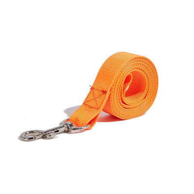 Correa Portátil con Asidero para Perros - Collar de Paseo Seguro - Image 5