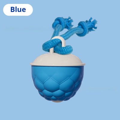 Pelota Interactiva Resistente para Perros con Sonido y Textura Masticable - Image 2