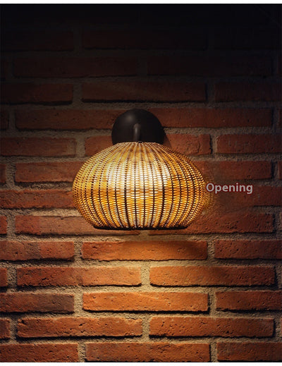 Lámpara de Pared Exterior Artística con Enredadera China Moderna - Image 15